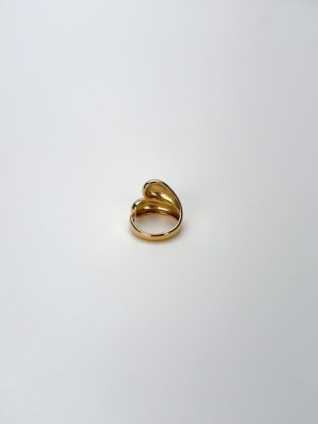 Anillo Gaia