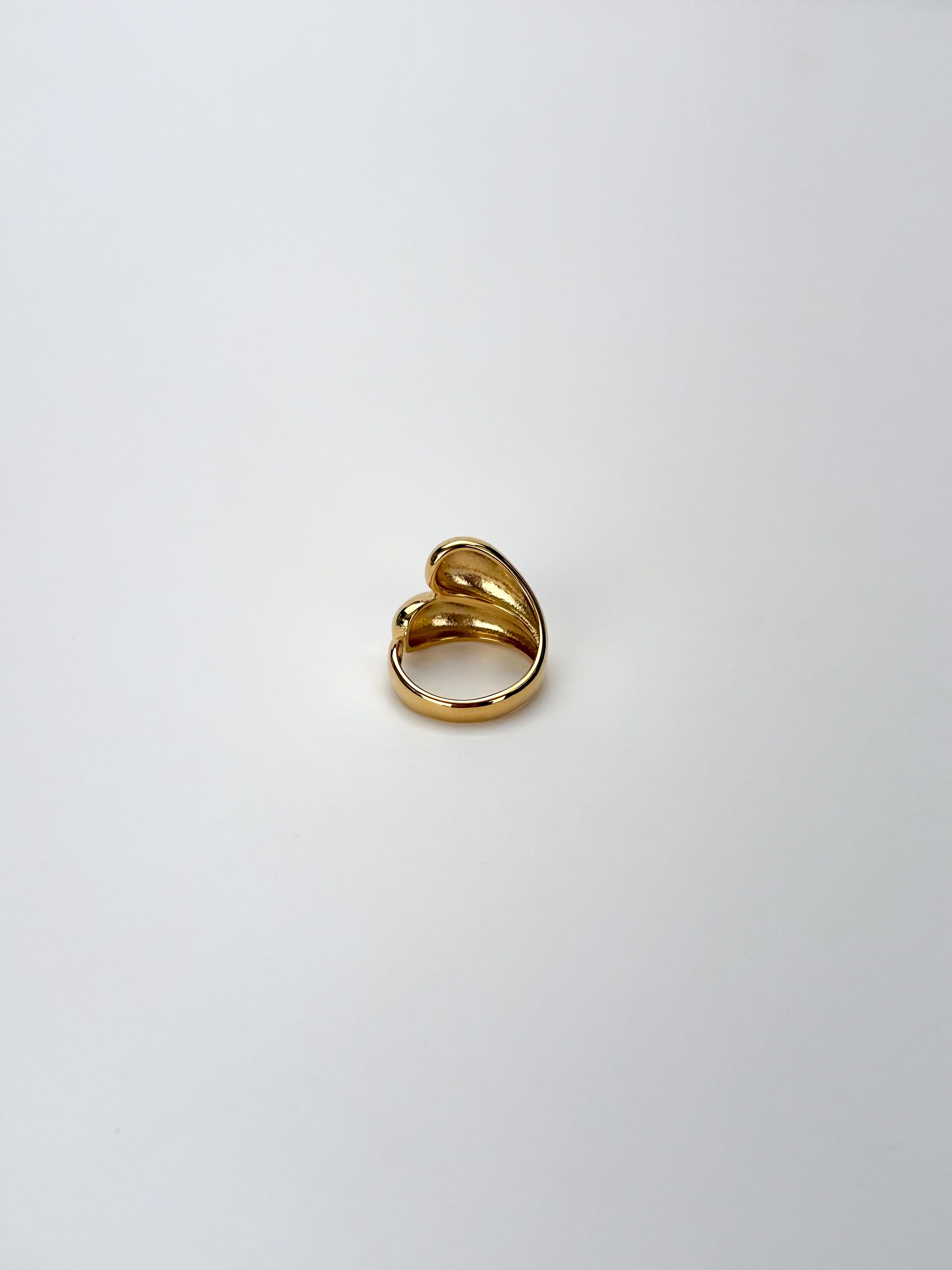 Anillo Gaia
