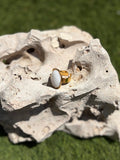 Anillo Alba