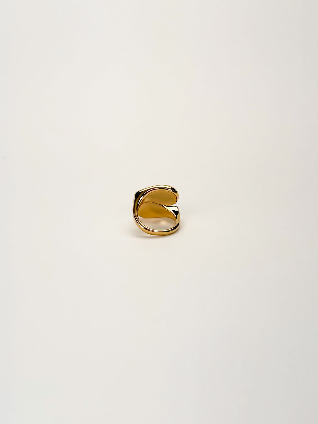 Anillo Teca