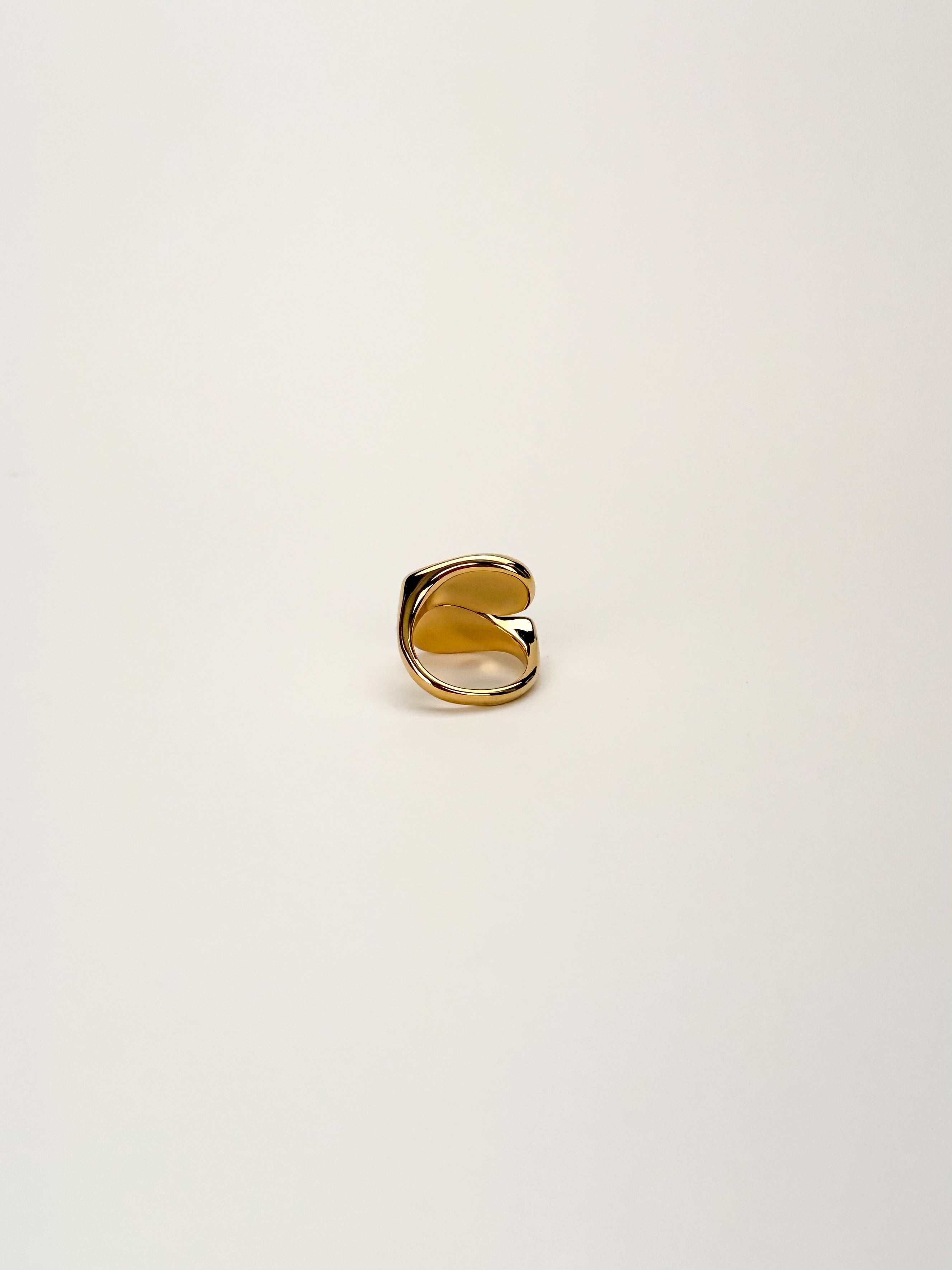 Anillo Teca