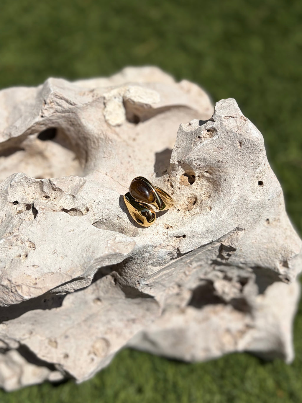 Anillo Teca