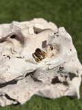Anillo Teca